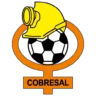 Escudo de Cobresal