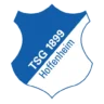 Escudo de TSG Hoffenheim