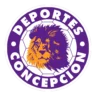 Escudo de Concepcion