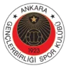 Escudo de Genclerbirligi